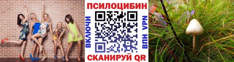 Галлюциногенные грибы прущие грибы  Володарск 